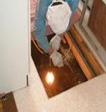 ���a�쏜�̖�܎U�z�@5�N���ڈ��ł�