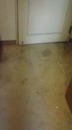 �J�[�y�b�g�͂����H��1