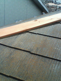 �R���j�A���������̔�U