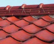 ���̎���i���������j����E������