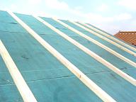 ���[�t�B���O�h�����E���؍H��