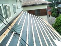 ���n�ޒ���H��